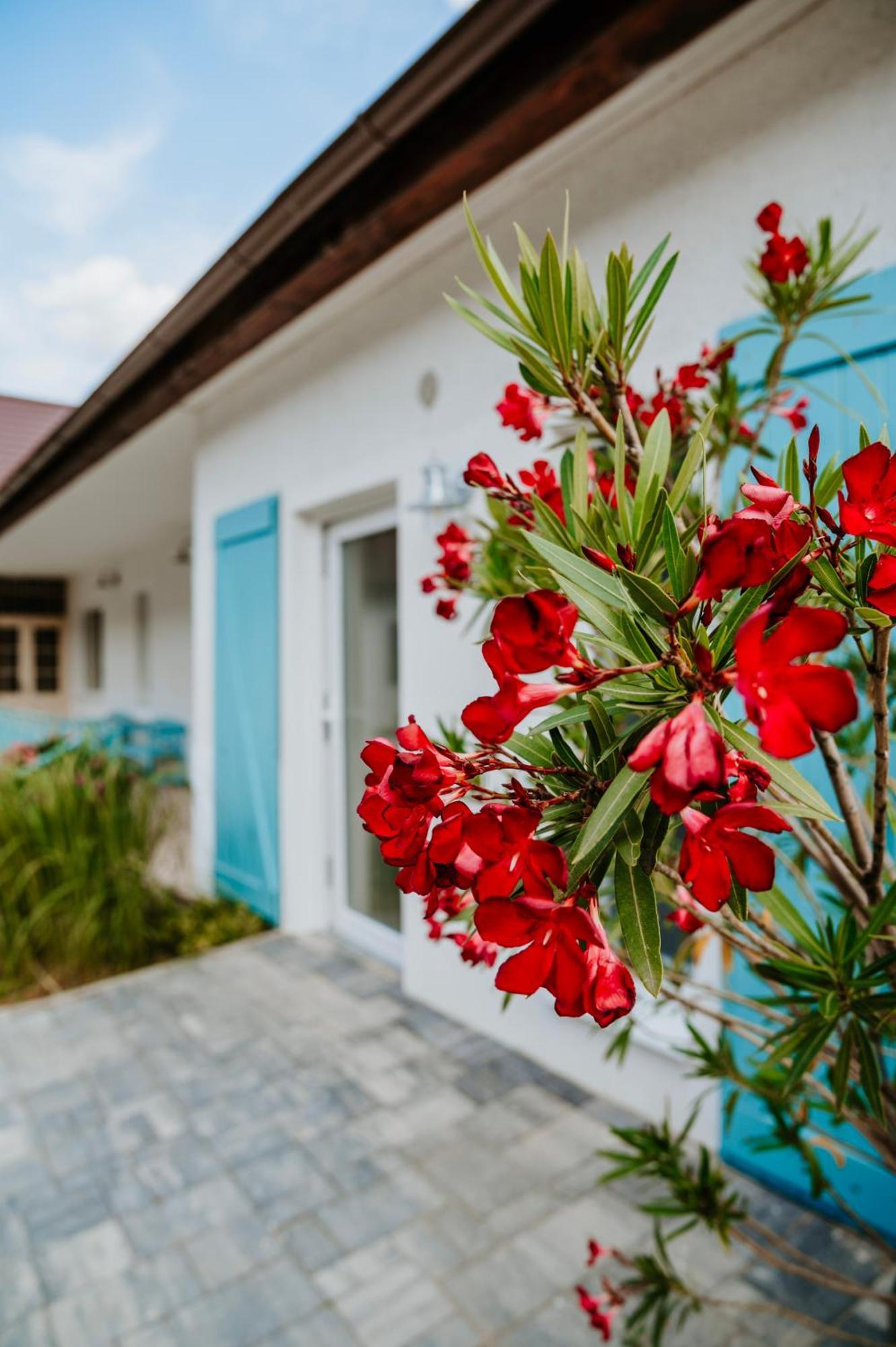 Ako Doma Hotel Poltar Exterior photo